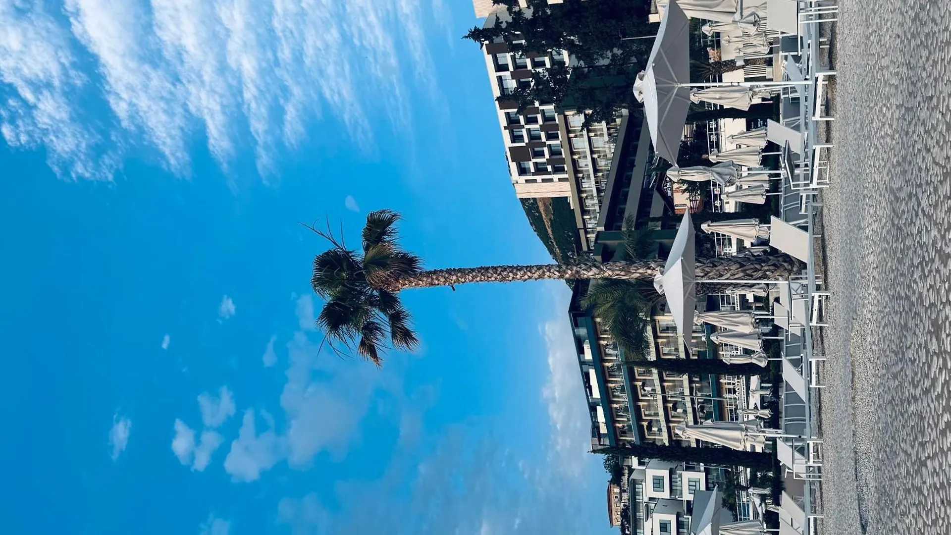 شقة Solemar Suites فلورا